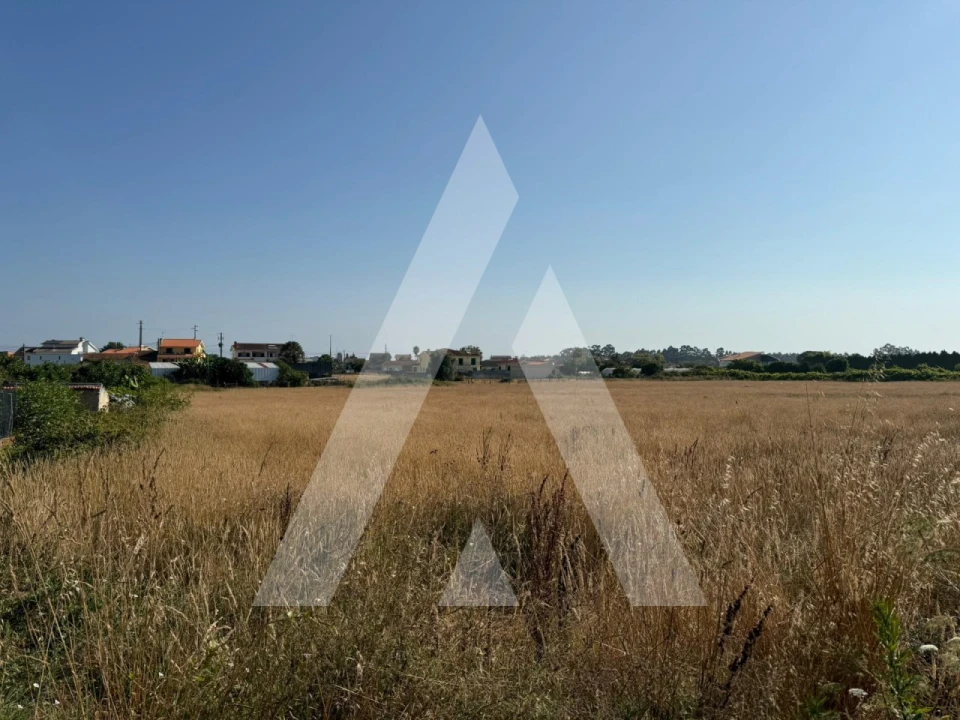 Terreno para Venda em Oliveirinha Foto 2