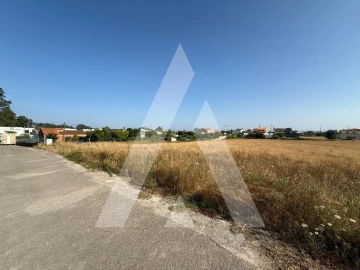 Terreno para Venda em Oliveirinha