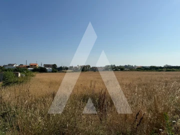 Terreno para Venda em Oliveirinha