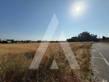 Terreno para Venda em Oliveirinha