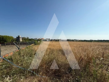 Terreno para Venda em Oliveirinha