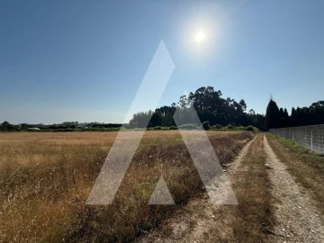 Terreno para Venda em Oliveirinha