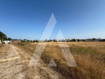 Terreno para Venda em Oliveirinha