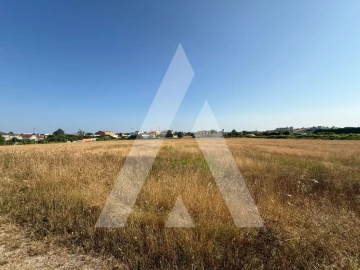 Terreno para Venda em Oliveirinha
