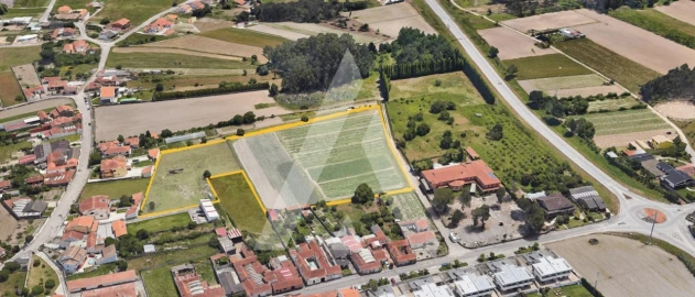 Terreno para Venda em Oliveirinha
