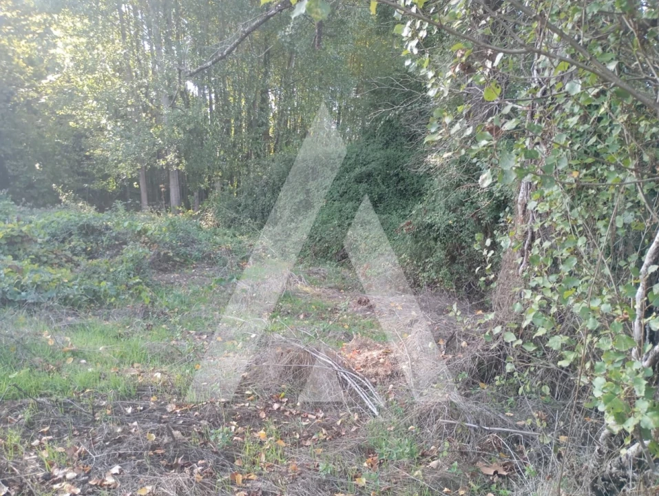 Terreno para Venda em Bustelo Foto 6