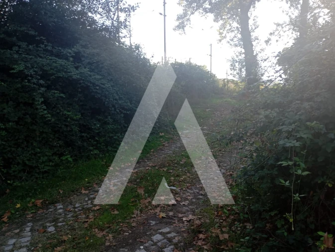 Terreno para Venda em Bustelo Foto 5