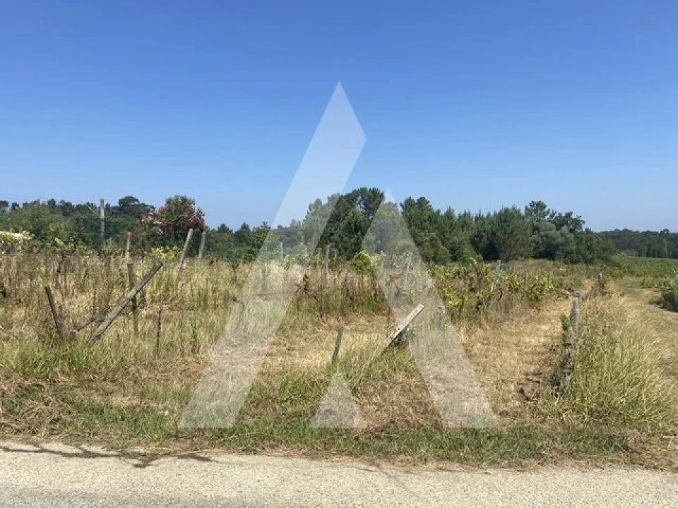 Terreno para Venda em São Lourenço do Bairro Foto 2