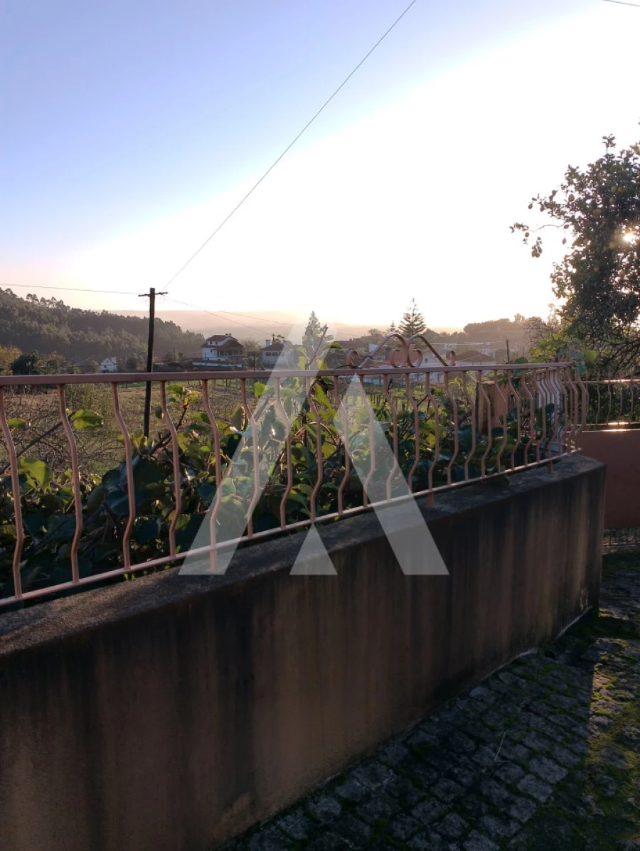 Terreno para Venda em Subportela, Deocriste e Portela Susã Foto 3