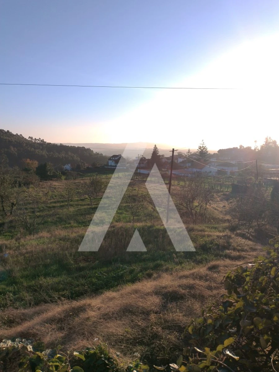 Terreno para Venda em Subportela, Deocriste e Portela Susã Foto 4