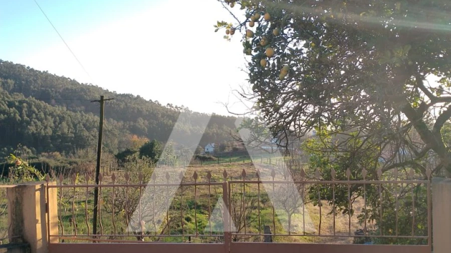 Terreno para Venda em Subportela, Deocriste e Portela Susã