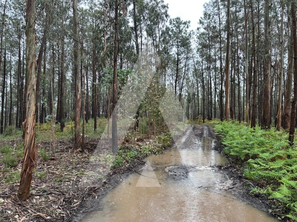 Terreno para Venda em Marrazes e Barosa Foto 7