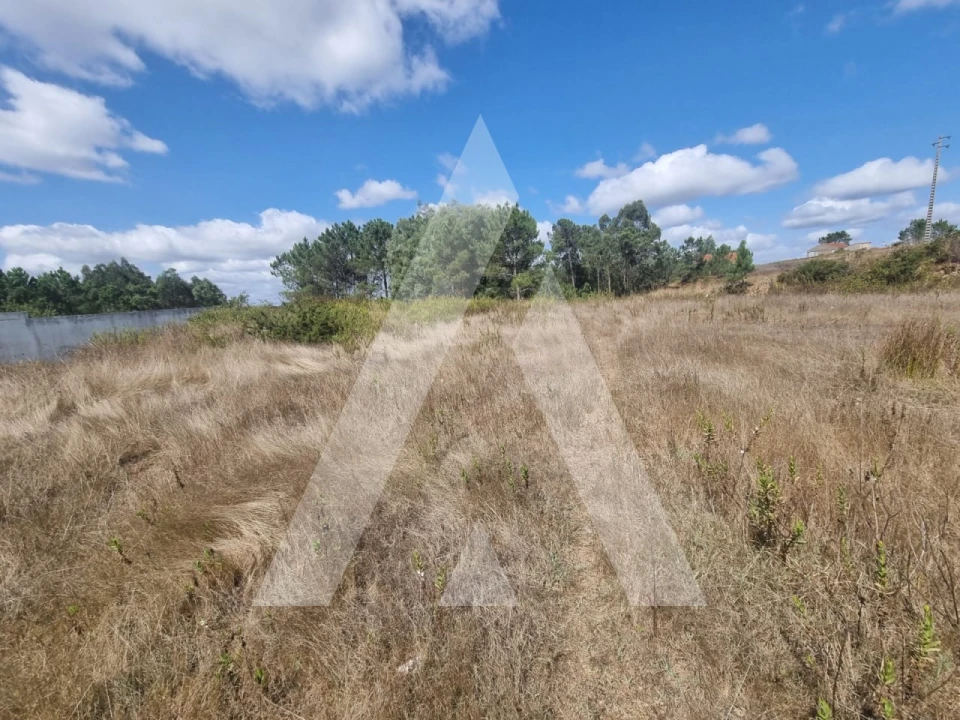 Terreno para Venda em Figueira de Lorvão Foto 4