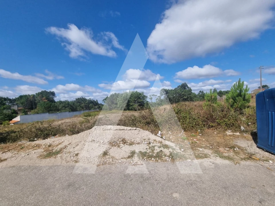 Terreno para Venda em Figueira de Lorvão Foto 15