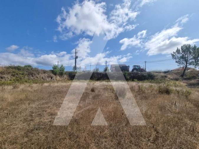 Terreno para Venda em Figueira de Lorvão Foto 5