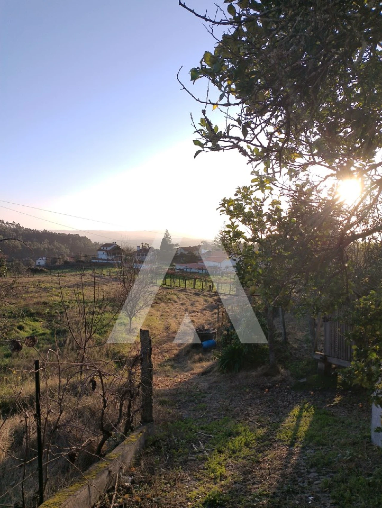 Terreno para Venda em Subportela, Deocriste e Portela Susã Foto 4