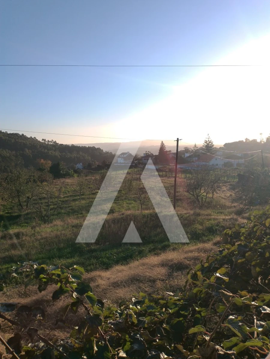 Terreno para Venda em Subportela, Deocriste e Portela Susã Foto 3