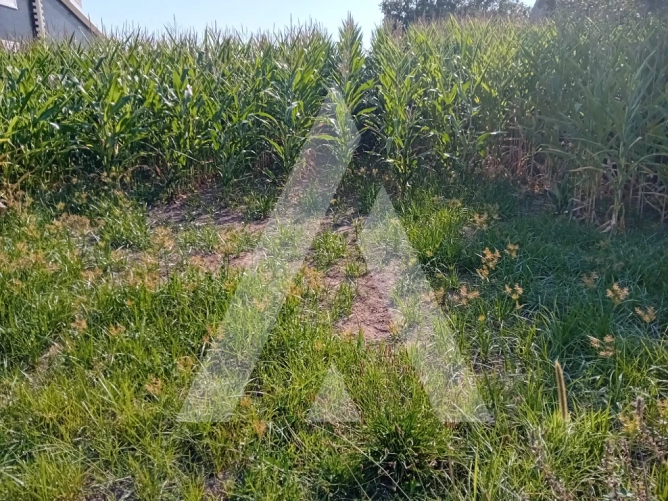 Terreno para Venda em Aradas Foto 3