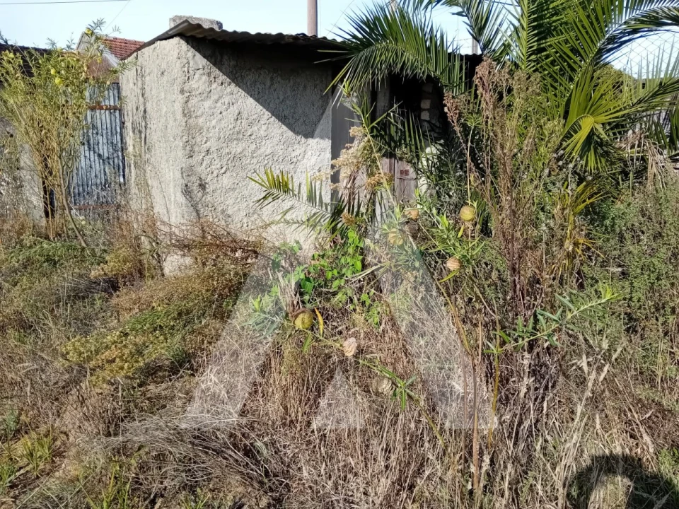 Terreno para Venda em Aradas Foto 8