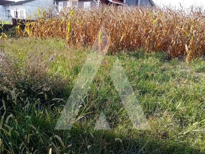 Terreno para Venda em Aradas Foto 4
