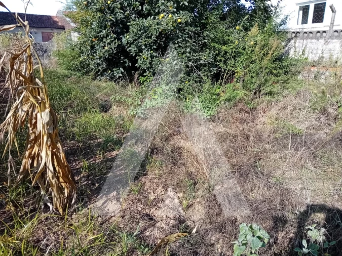 Terreno para Venda em Aradas Foto 5