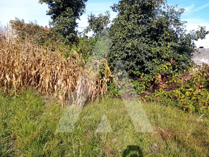 Terreno para Venda em Aradas Foto 6