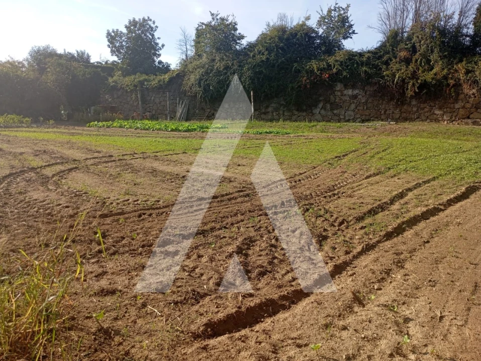 Terreno para Venda em Bustelo Foto 5