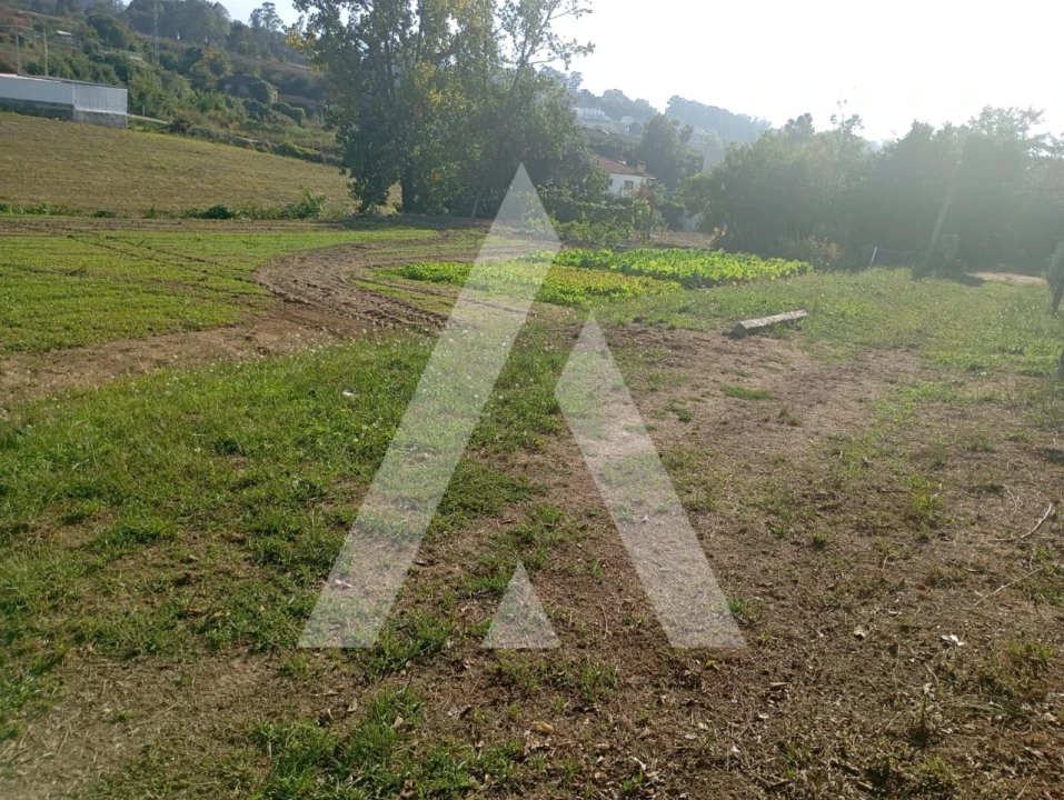 Terreno para Venda em Bustelo Foto 6