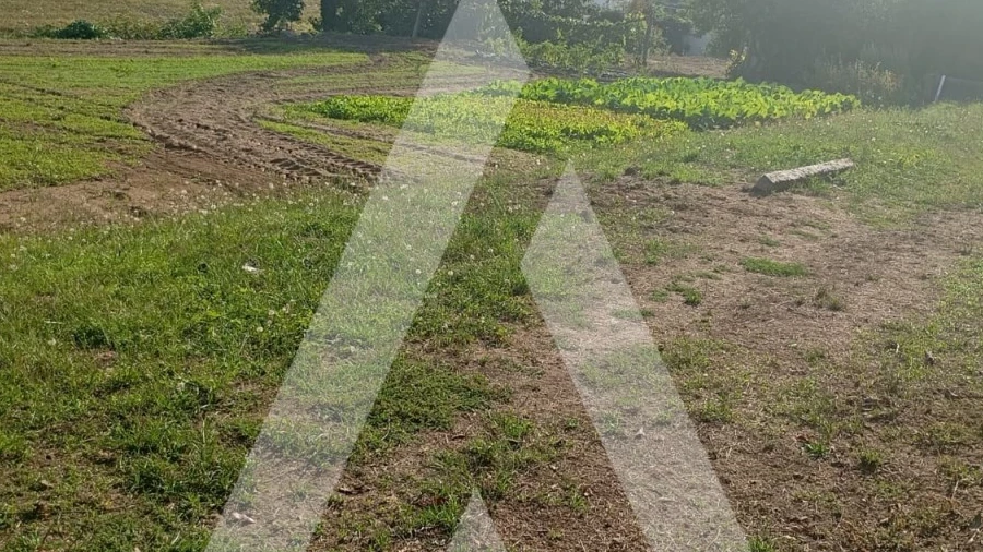 Terreno para Venda em Bustelo
