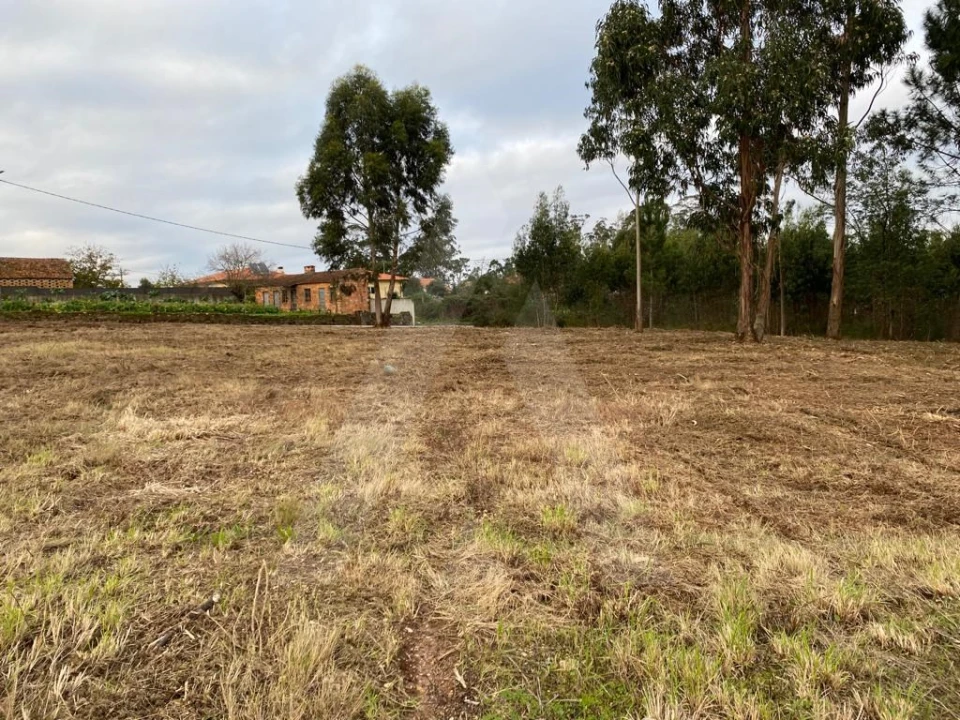 Terreno para Venda em Eixo e Eirol Foto 3