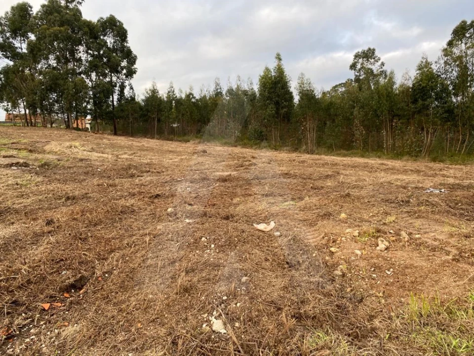 Terreno para Venda em Eixo e Eirol Foto 4