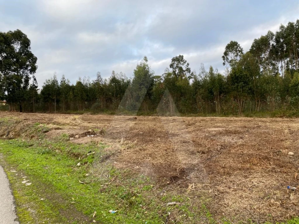 Terreno para Venda em Eixo e Eirol Foto 5