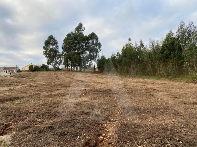 Terreno para Venda em Eixo e Eirol Foto 2