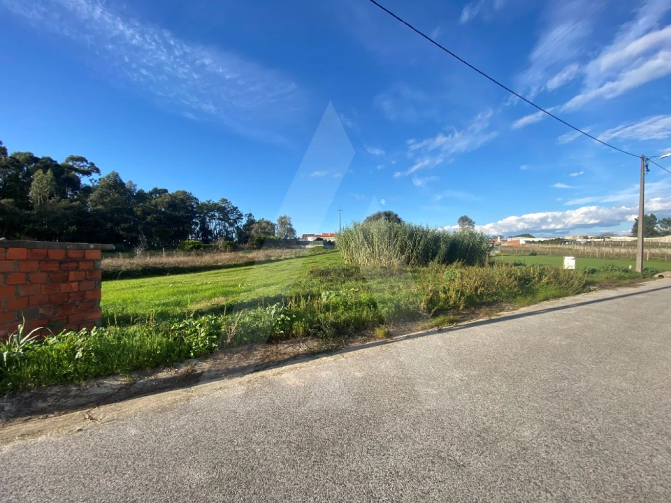 Terreno para Venda em Fermentelos Foto 2