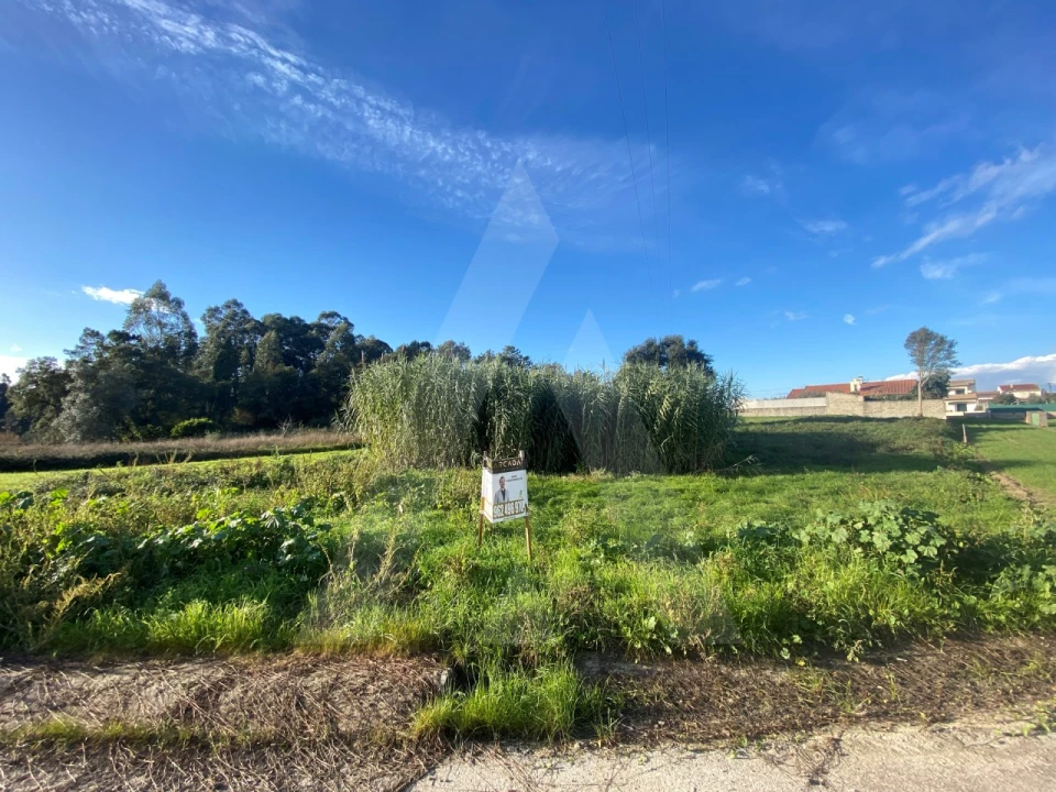 Terreno para Venda em Fermentelos Foto 3