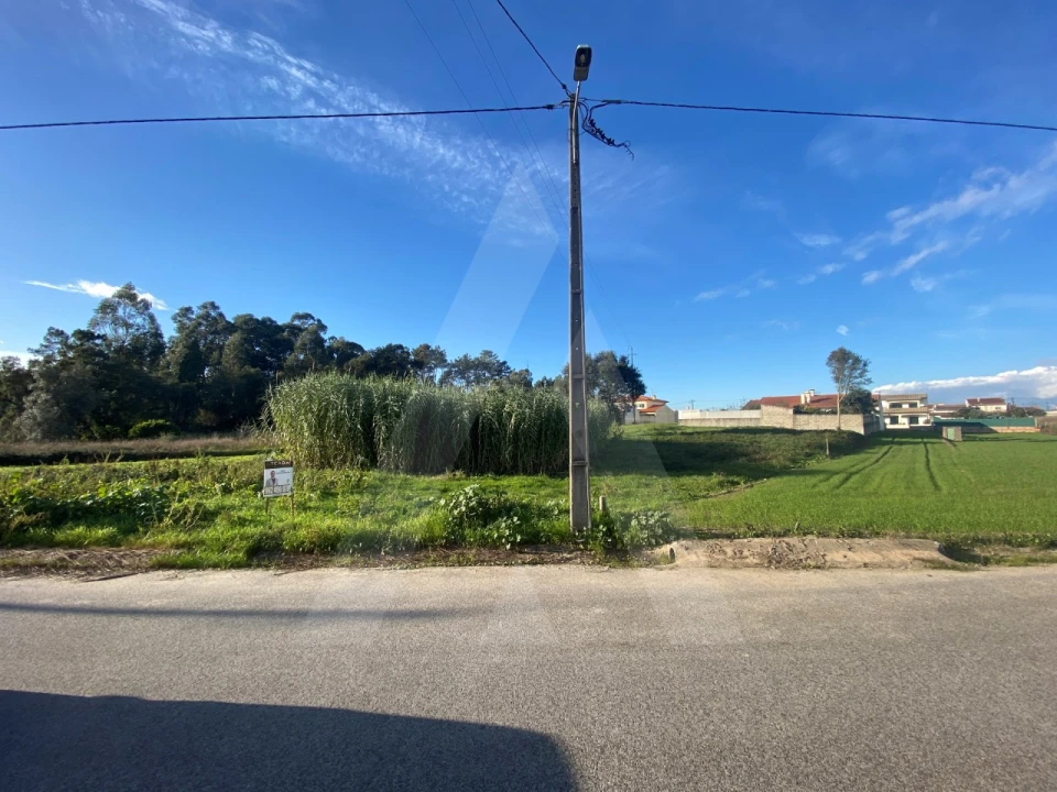 Terreno para Venda em Fermentelos Foto 5