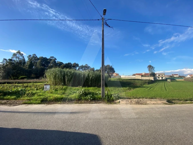 Terreno para Venda em Fermentelos Foto 4