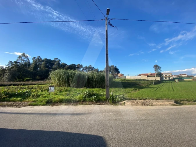 Terreno para Venda em Fermentelos Foto 5