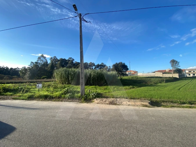 Terreno para Venda em Fermentelos Foto 6