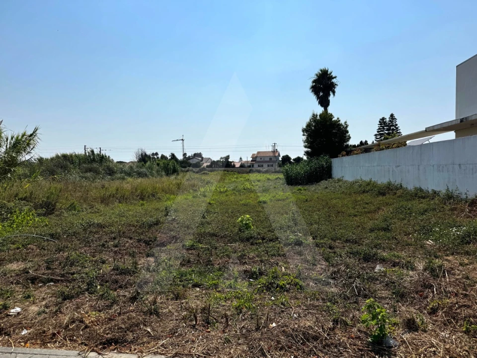 Terreno para Venda em São Bernardo Foto 3