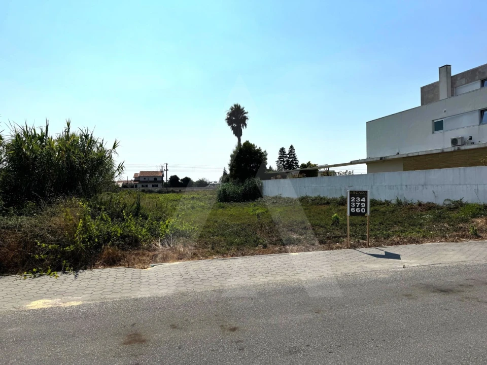 Terreno para Venda em São Bernardo Foto 5