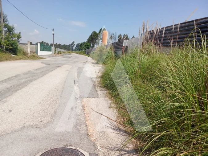 Terreno para Venda em Cacia Foto 5