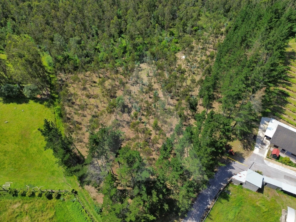 Terreno para Venda em Macinhata do Vouga Foto 9