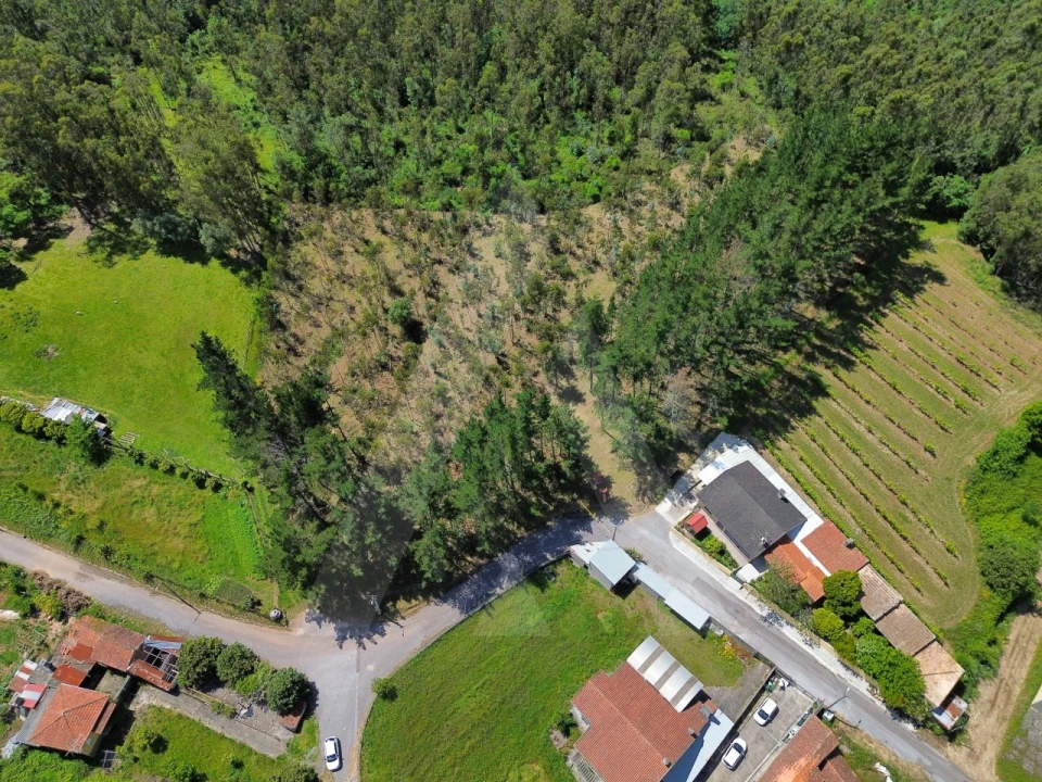 Terreno para Venda em Macinhata do Vouga Foto 6