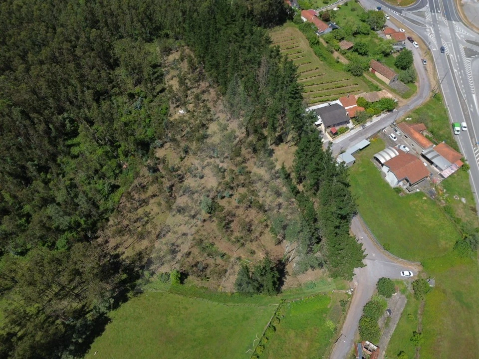 Terreno para Venda em Macinhata do Vouga Foto 12