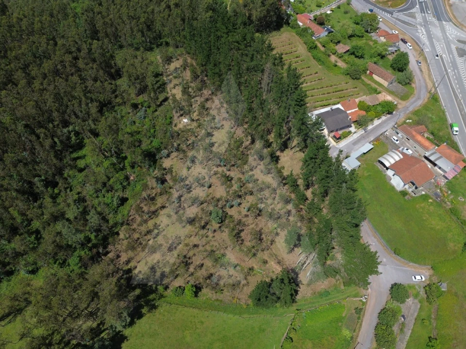 Terreno para Venda em Macinhata do Vouga Foto 4