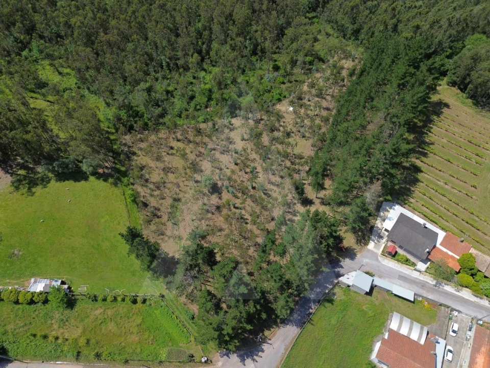 Terreno para Venda em Macinhata do Vouga Foto 13