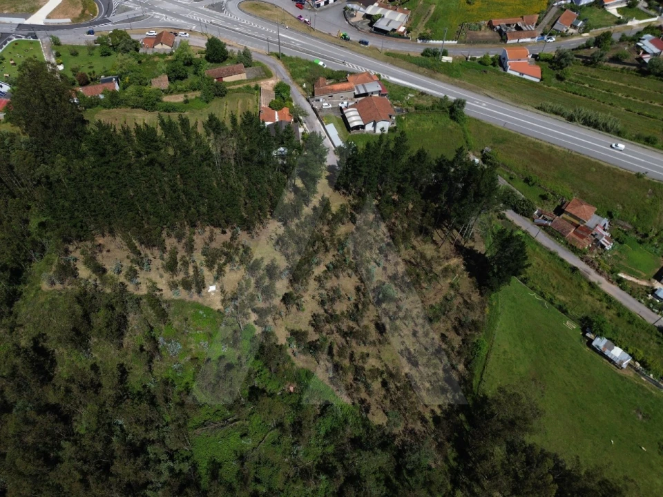 Terreno para Venda em Macinhata do Vouga Foto 1