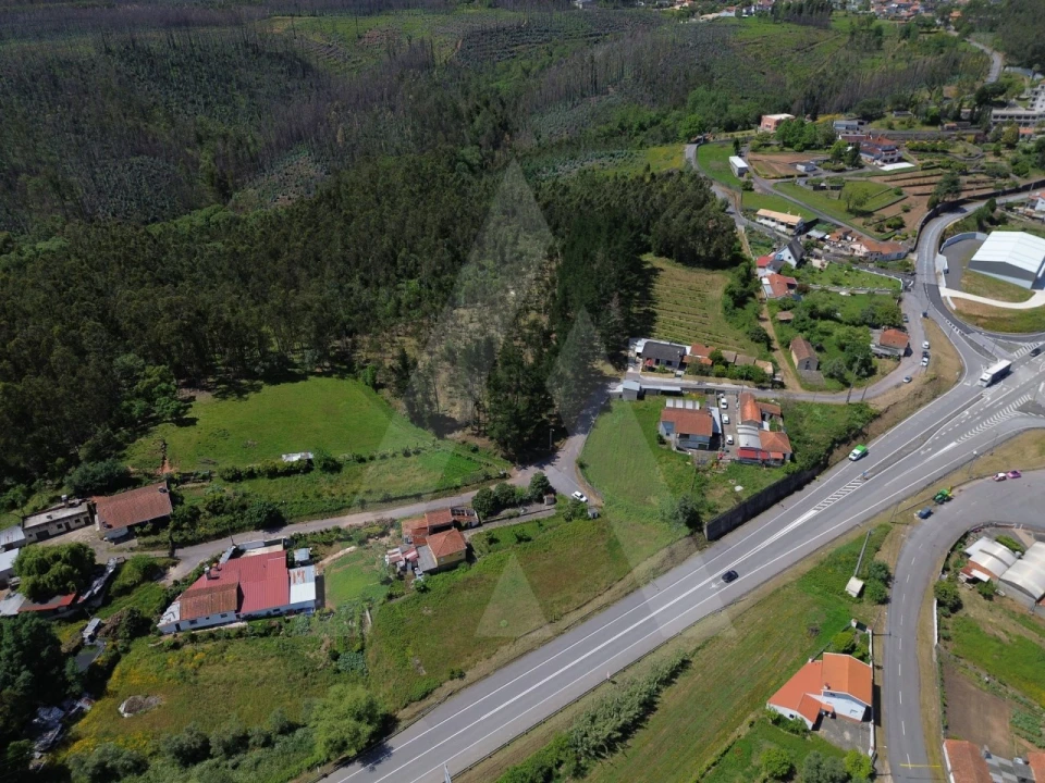 Terreno para Venda em Macinhata do Vouga Foto 10