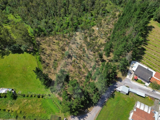 Terreno para Venda em Macinhata do Vouga Foto 3